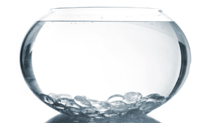 Aquarium Care Aquarium Care