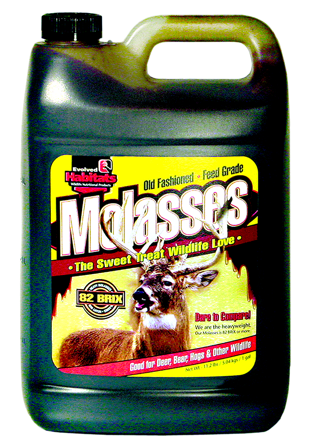 Molasses  1 gal