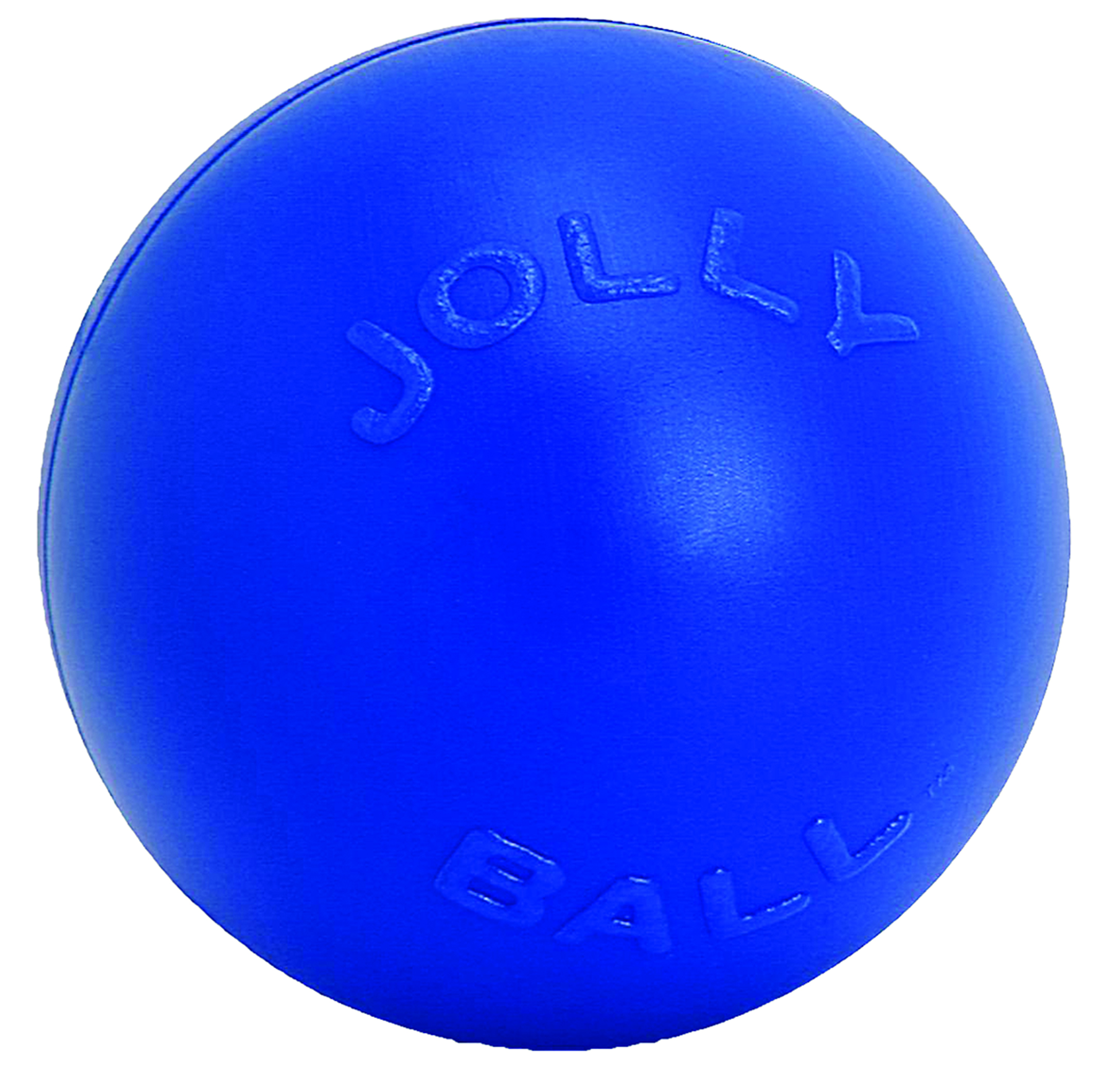 Blue Push-N-Play ball, 10 in dog toy