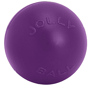 Purple Tug-N-Toss ball - 4.5 in dog toy