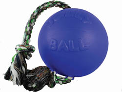 ROMP-N-ROLL BALL
