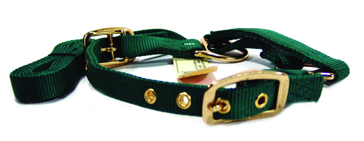 Sheep Halter with Lead Green