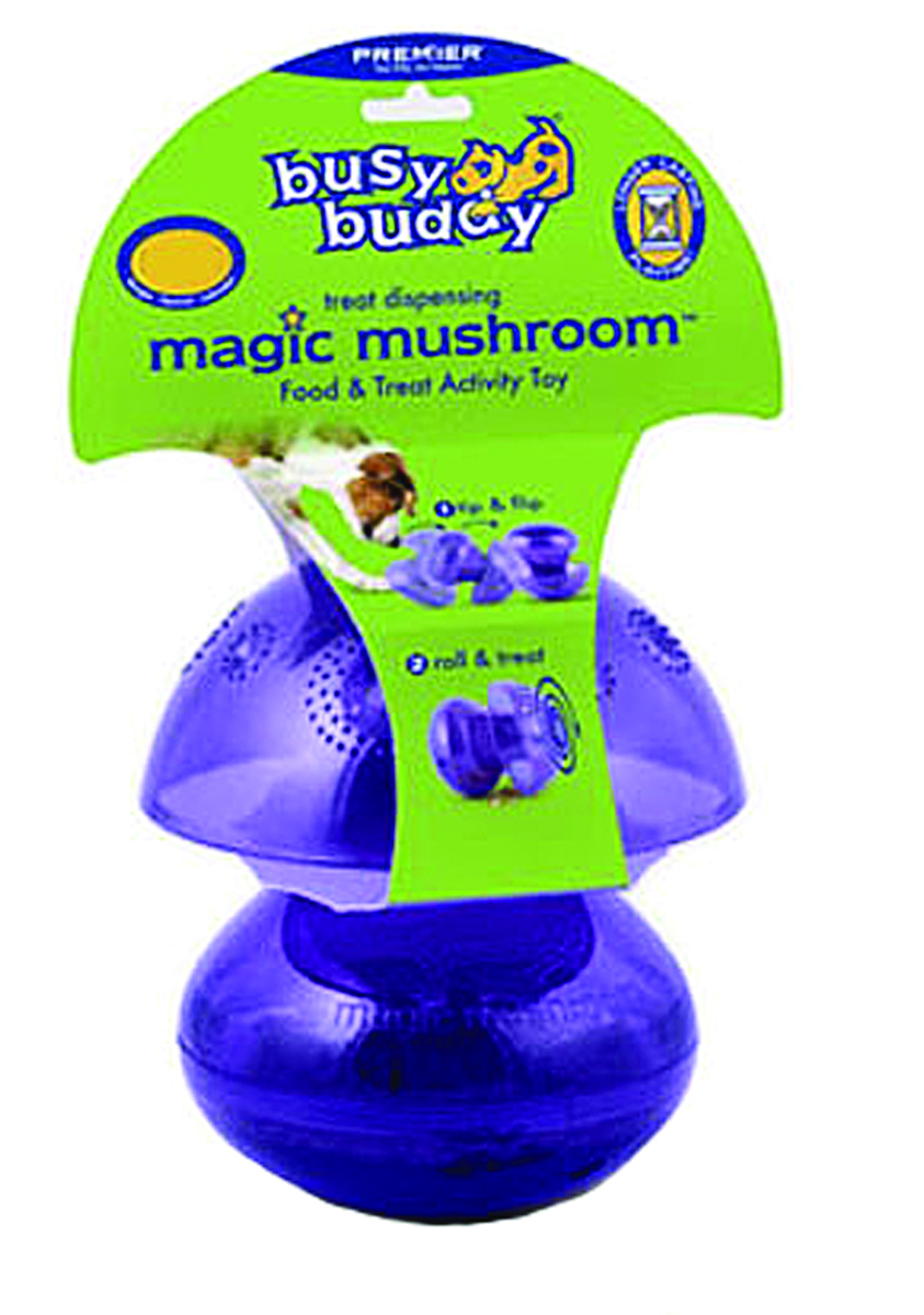 BUSY BUDDY MAGIC MUSHROOM