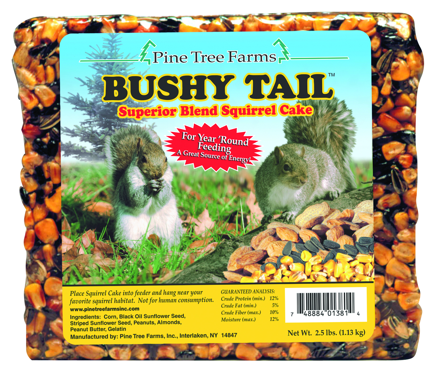 Bushy Tail Squirrel Cake - 2.5 lbs.
