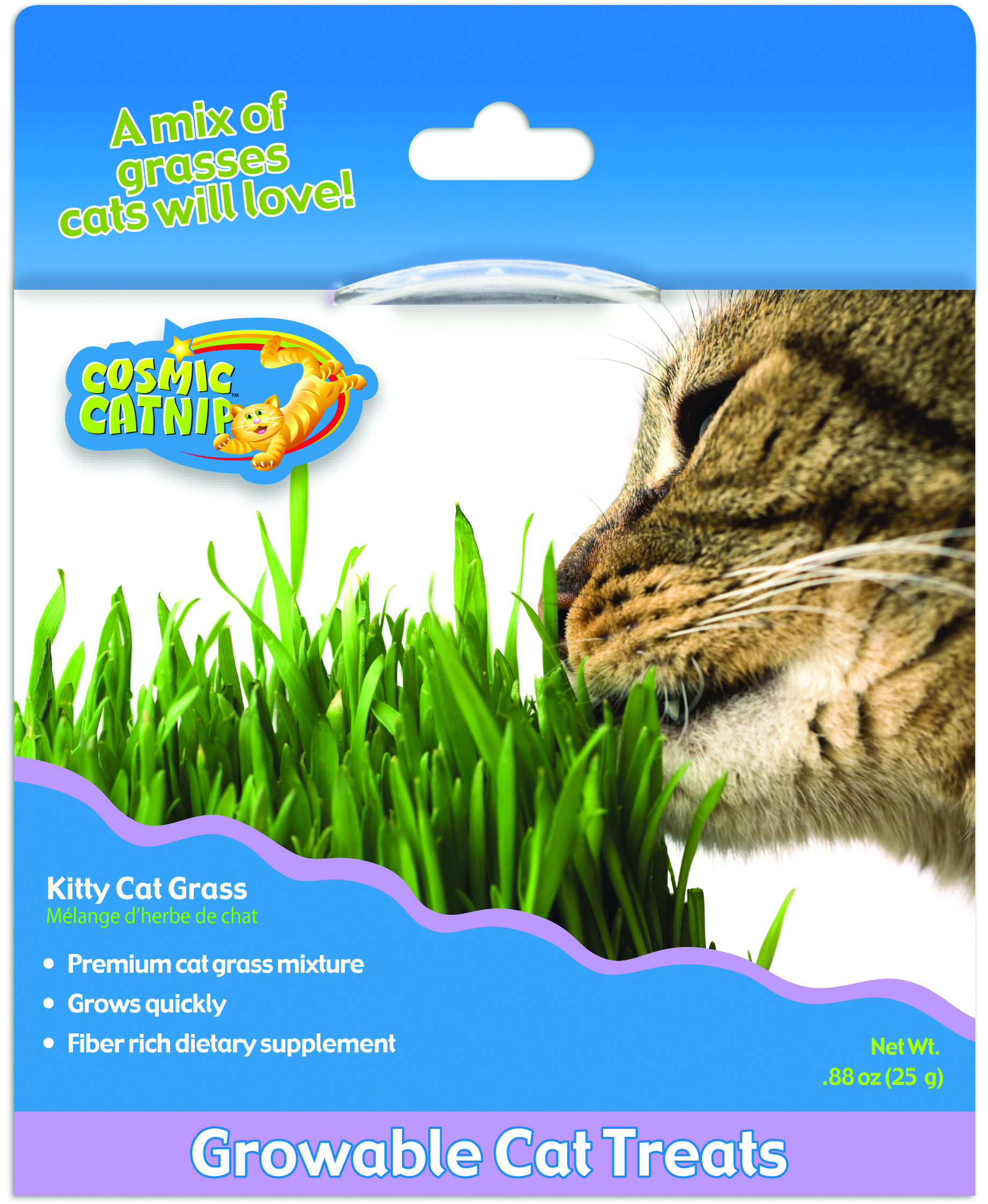 COSMIC KITTY CAT GRASS