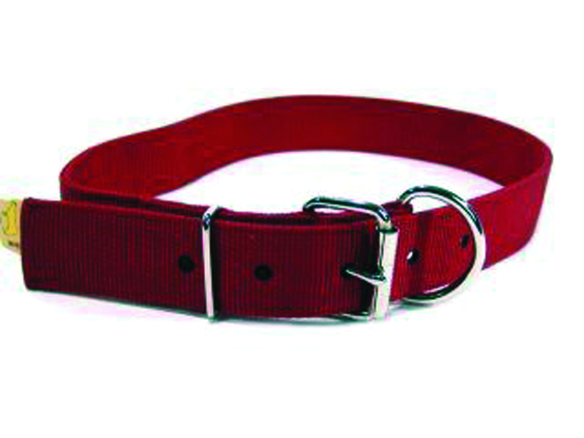 Cow Collar Red 40"