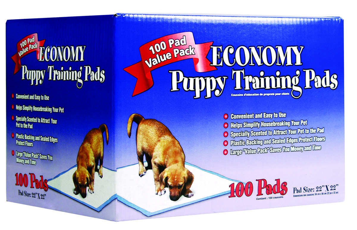 Economy Puppy Pads - 22 X 22
