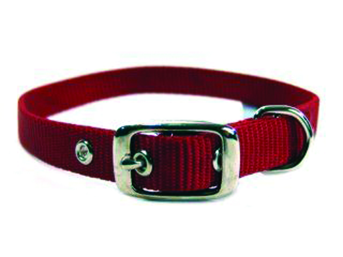 5/8" Nylon Dog Collar - Red -18
