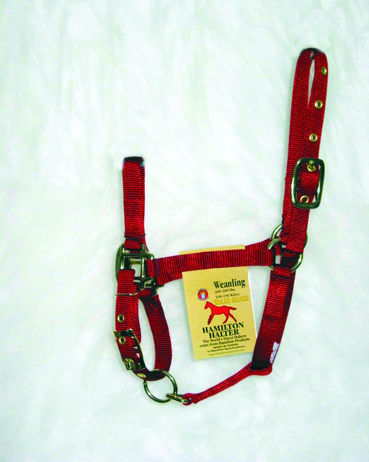 Weanling Adjustable Halter W/snap - Red