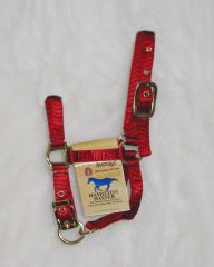 Deluxe Foal Mini Adjustable Halter - Red