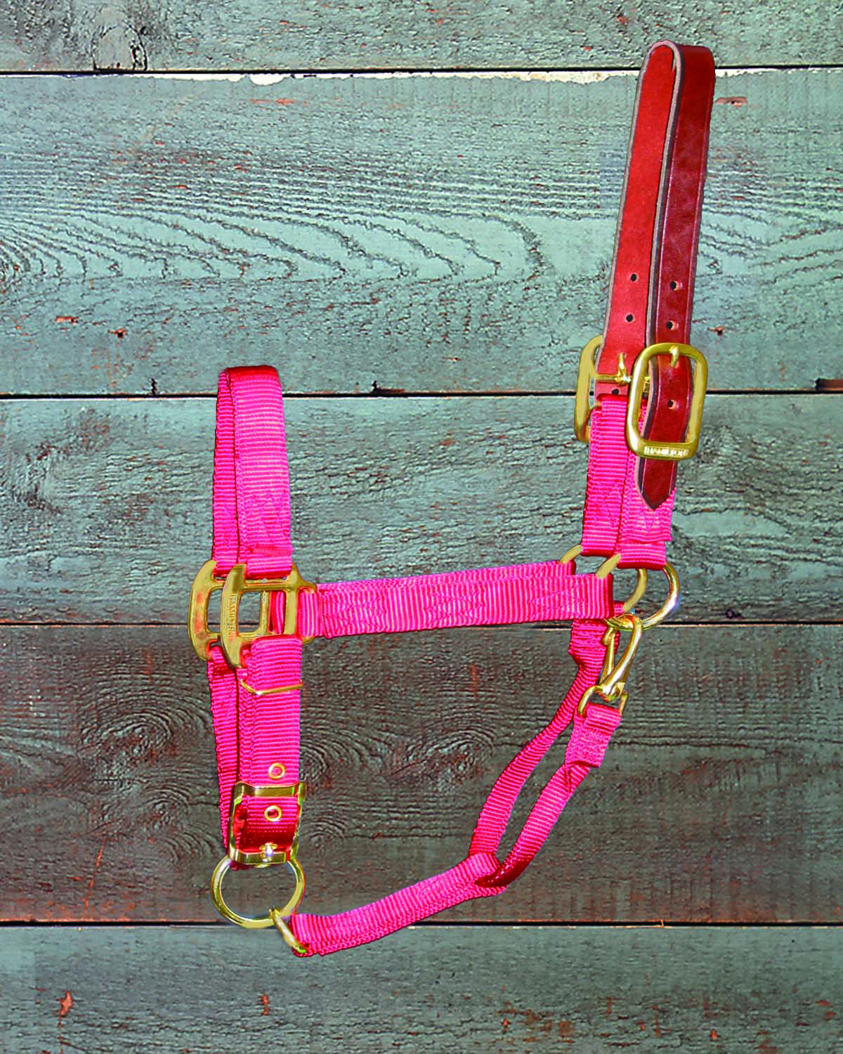 Adjustable Halter W/leather Head Poll  - Red - Yearling