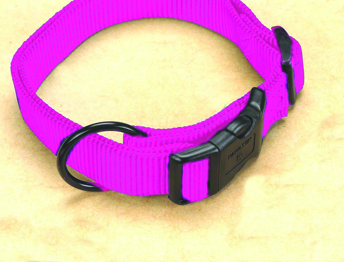 3/4" Fits All Adjustable Nylon Collar - Hot Pink 16-22
