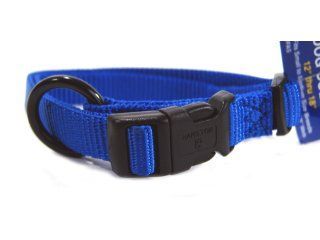 5/8" Fits All Adjustable Nylon Collar - Blue 12-18