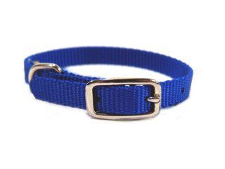 3/8" Nylon Dog Collar - Blue 10