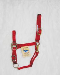Quality Halter W/snap - Red