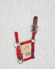 Foal Adjustable Halter W/leather Head Poll - Red