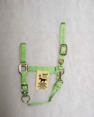 1" Adjustable Halter W/snap - Lime - Small