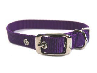 5/8" Nylon Dog Collar - Hot Purple 16