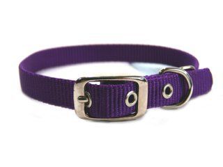 5/8" Nylon Dog Collar - Hot Purple 18