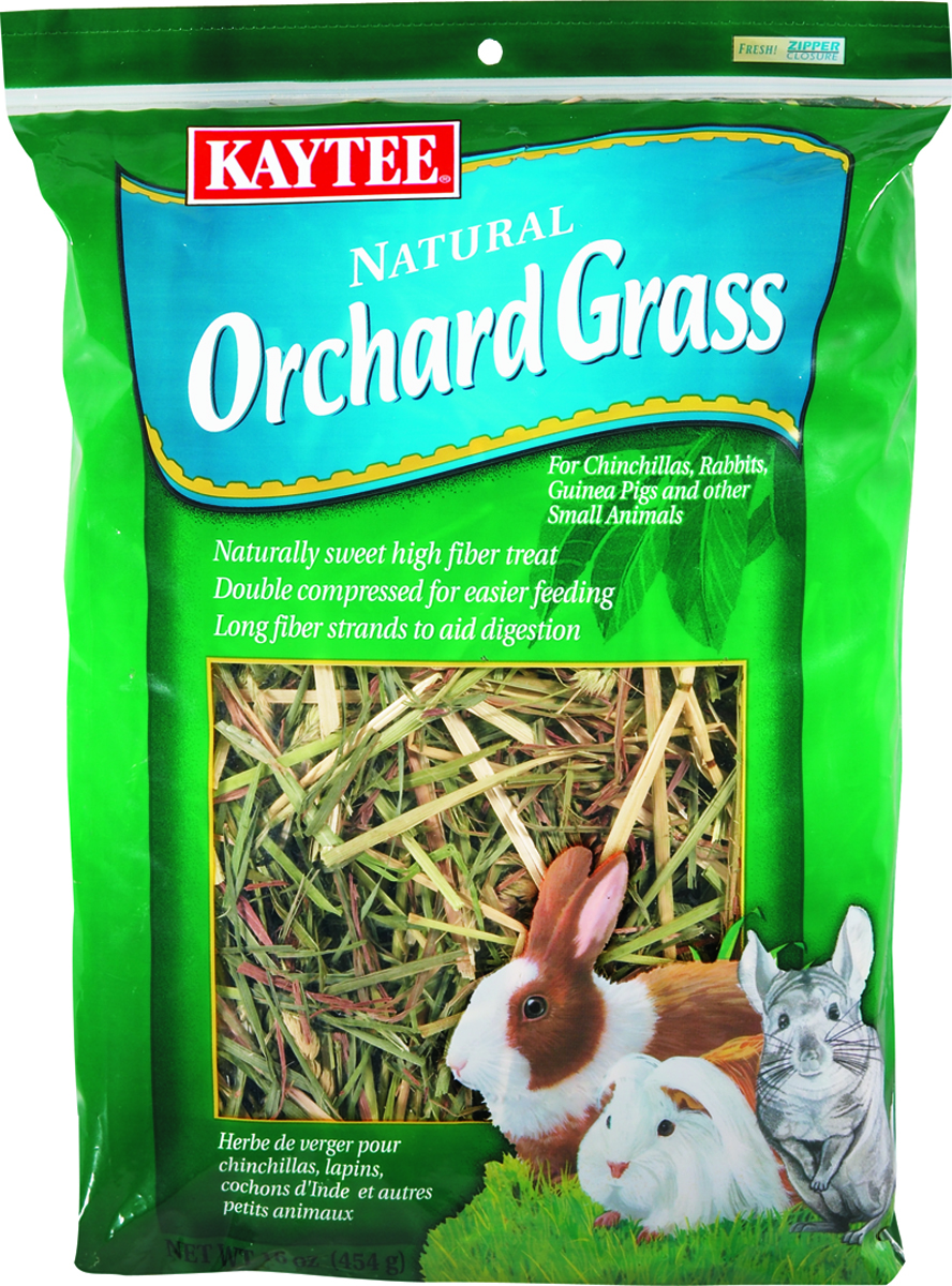 ORCHARD GRASS