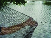 Pond Netting - 14' x 14'