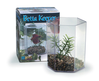 Betta Hex Tank with lid, gravel and plant - 36oz