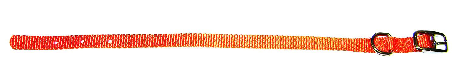 3/8" Nylon Collar - Mango Xsm-Sm 12