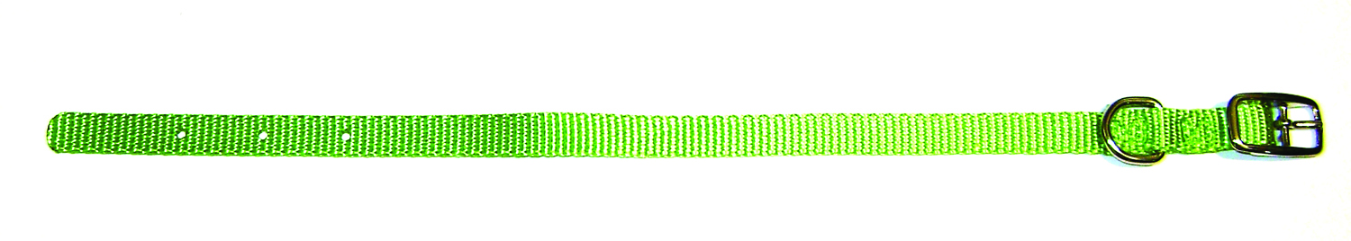 3/8" Nylon Collar - Lime Green Xsm-Sm 12