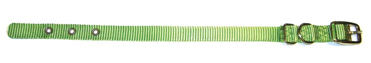 Nylon Deluxe Dogs Collar - Lime (S/M)