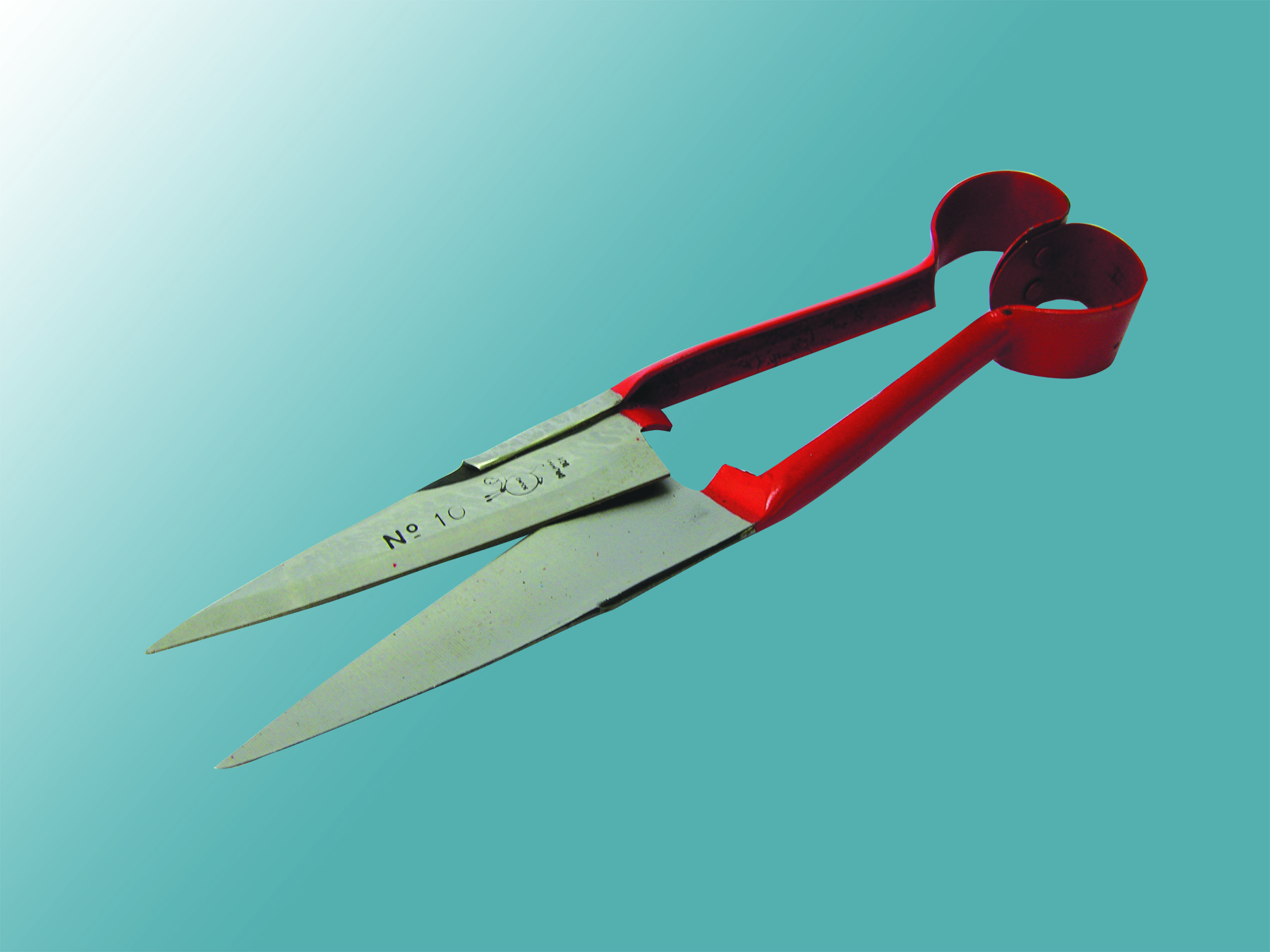 Sheep Shears Double Bow 6.5 in