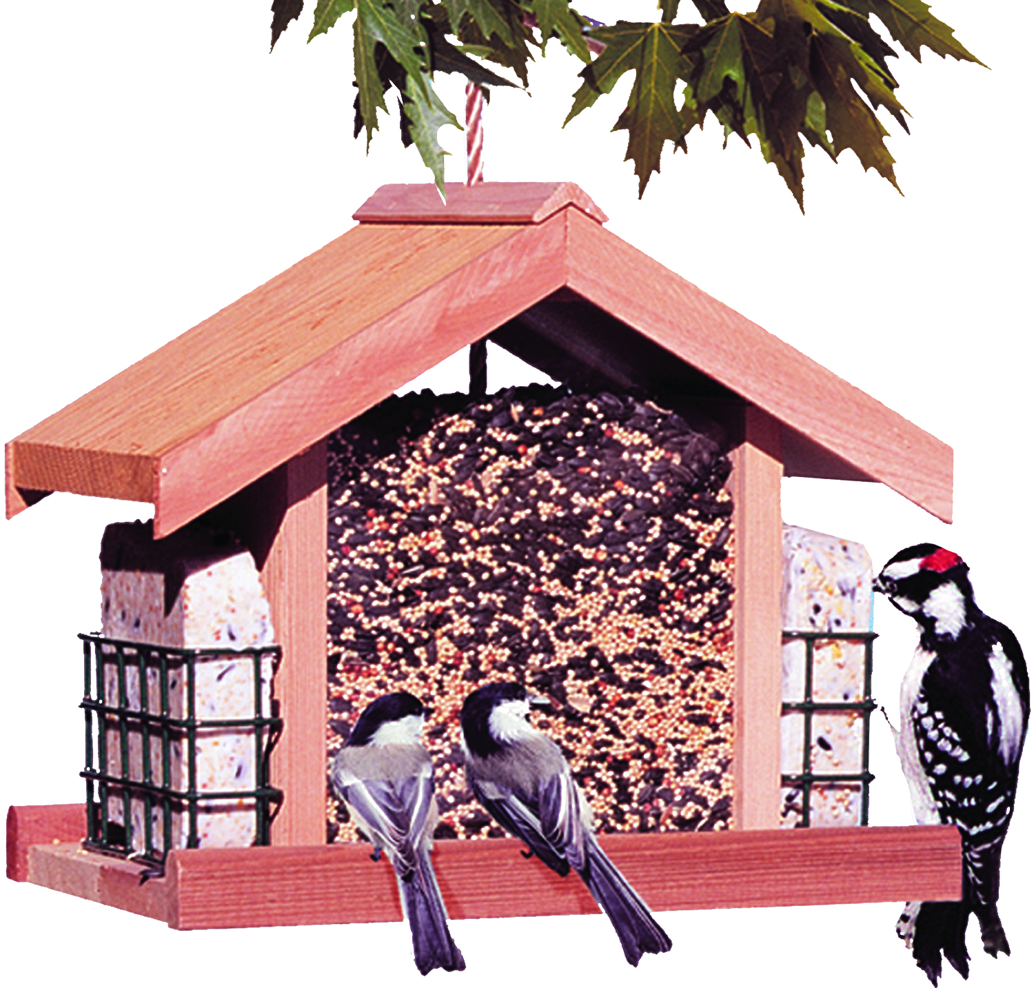Deluxe Chalet Feeder with Suet
