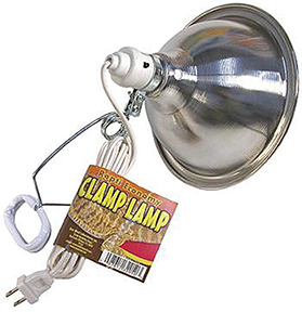Economy Clamp Lamp