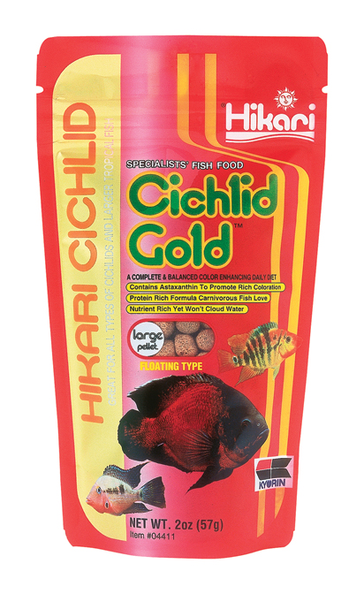 Cichlid Gold Large