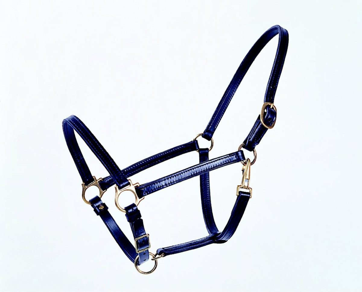 Leather Horse Halter - Black