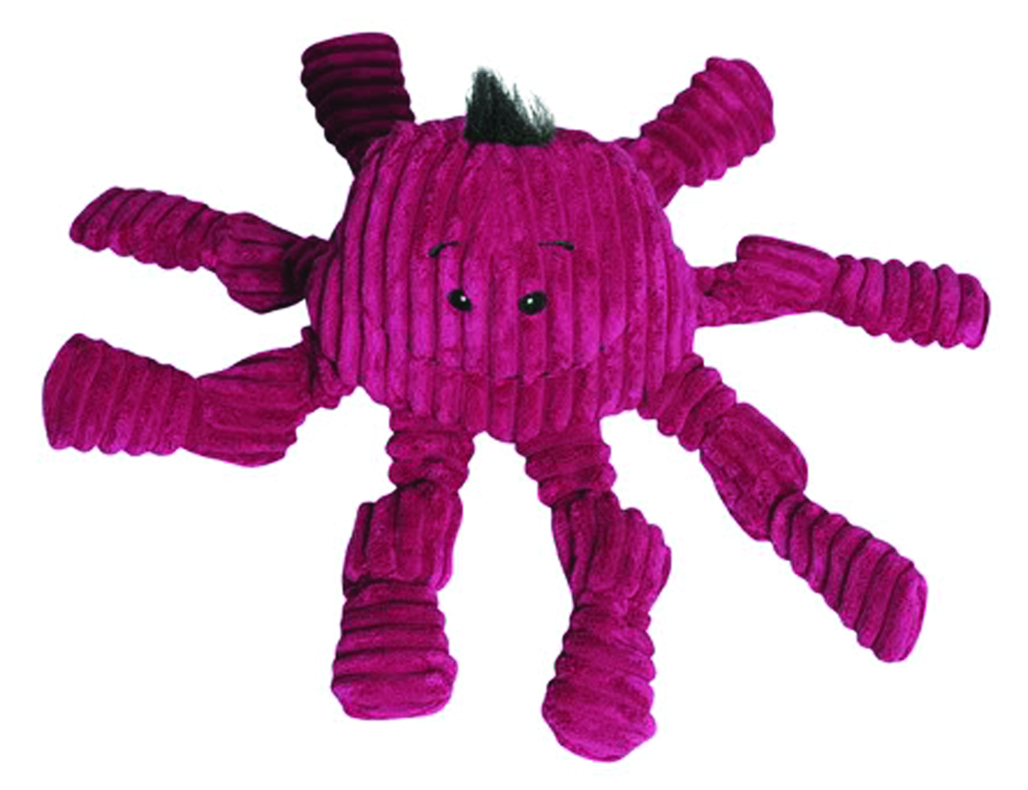 OCTO KNOTTIES