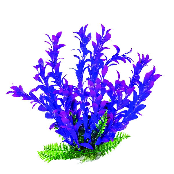 HYGRO-LIKE AQUARIUM PLANT