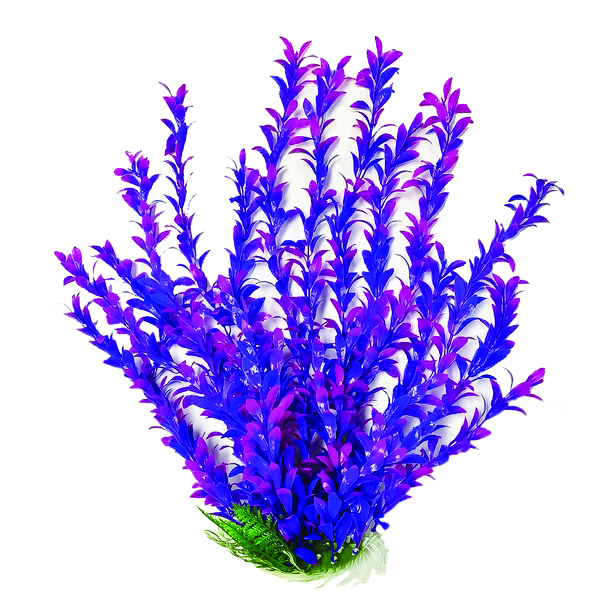HYGRO-LIKE AQUARIUM PLANT