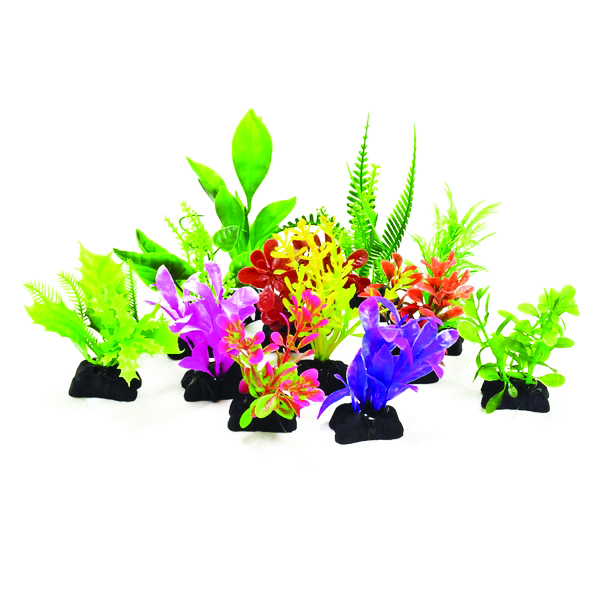 PROFIT POWER PACK PLANTS