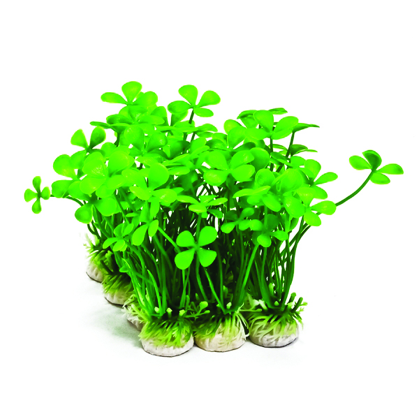 PROFIT POWER PACK CLOVER