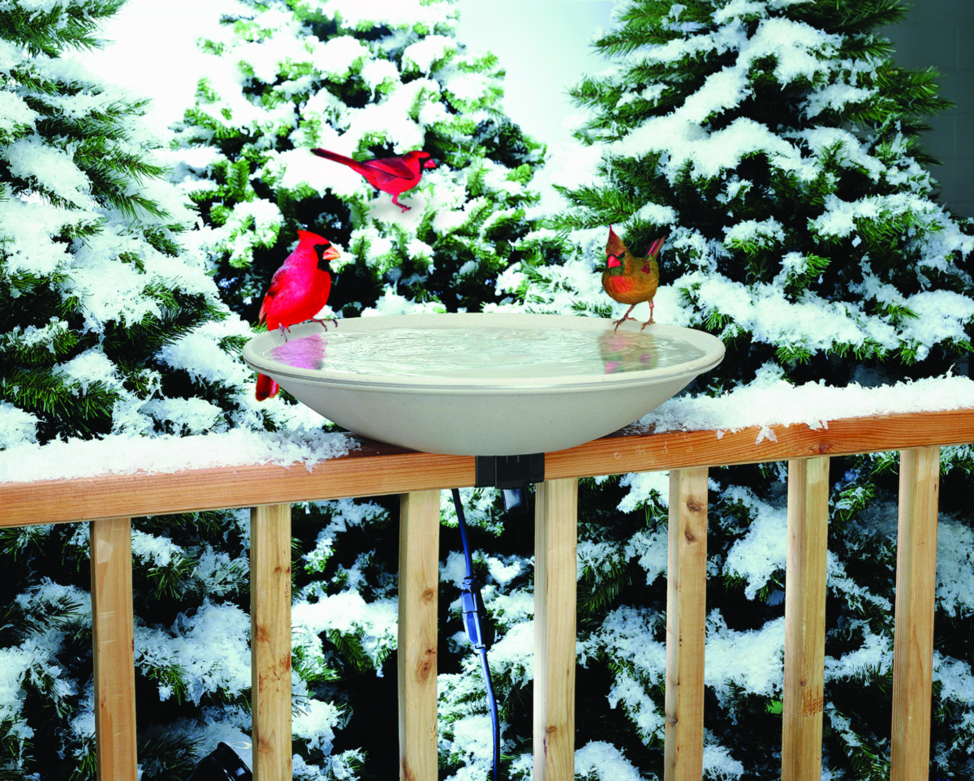 HEATED BIRD BATH