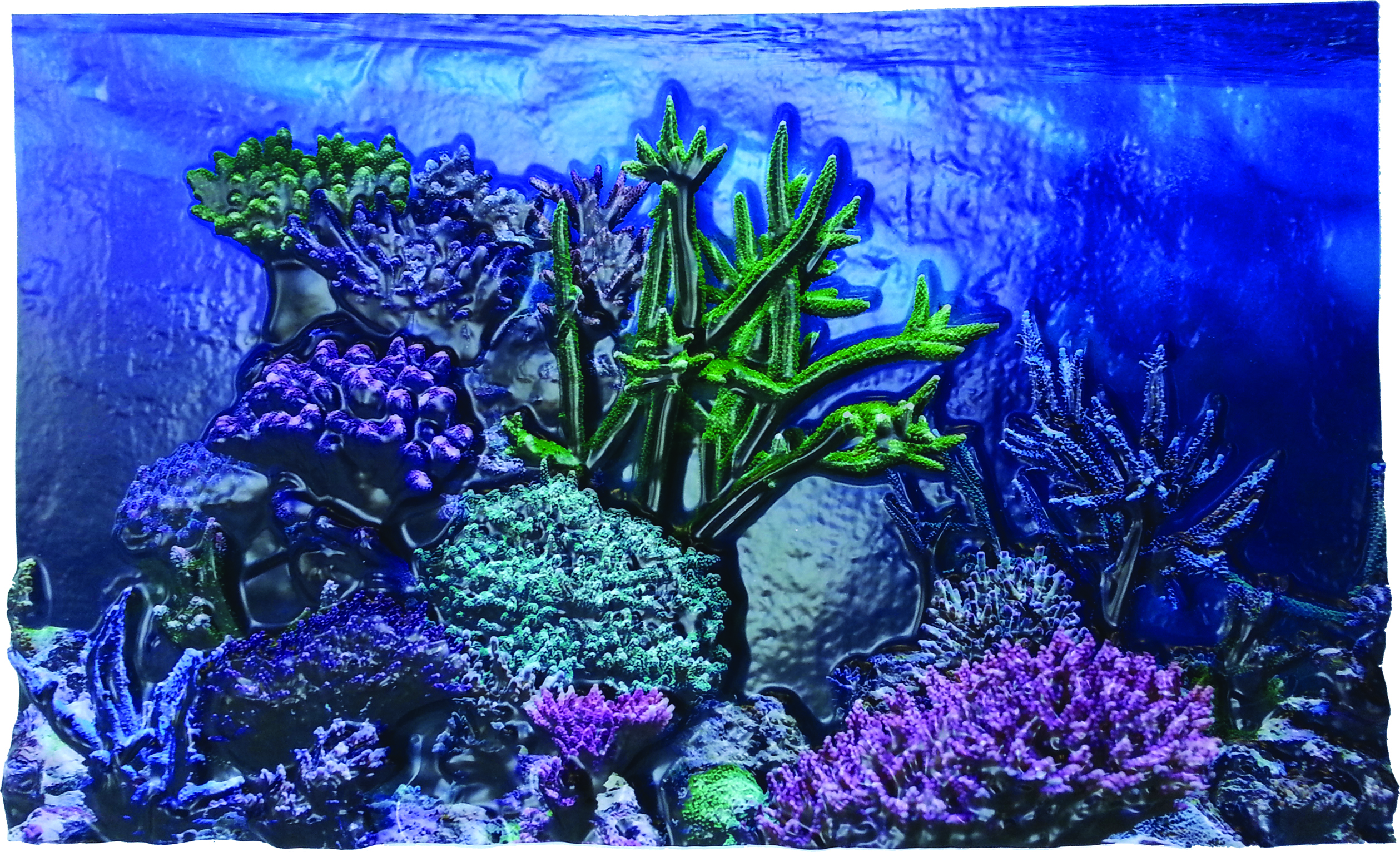 3D AQUARIUM BACKGROUND