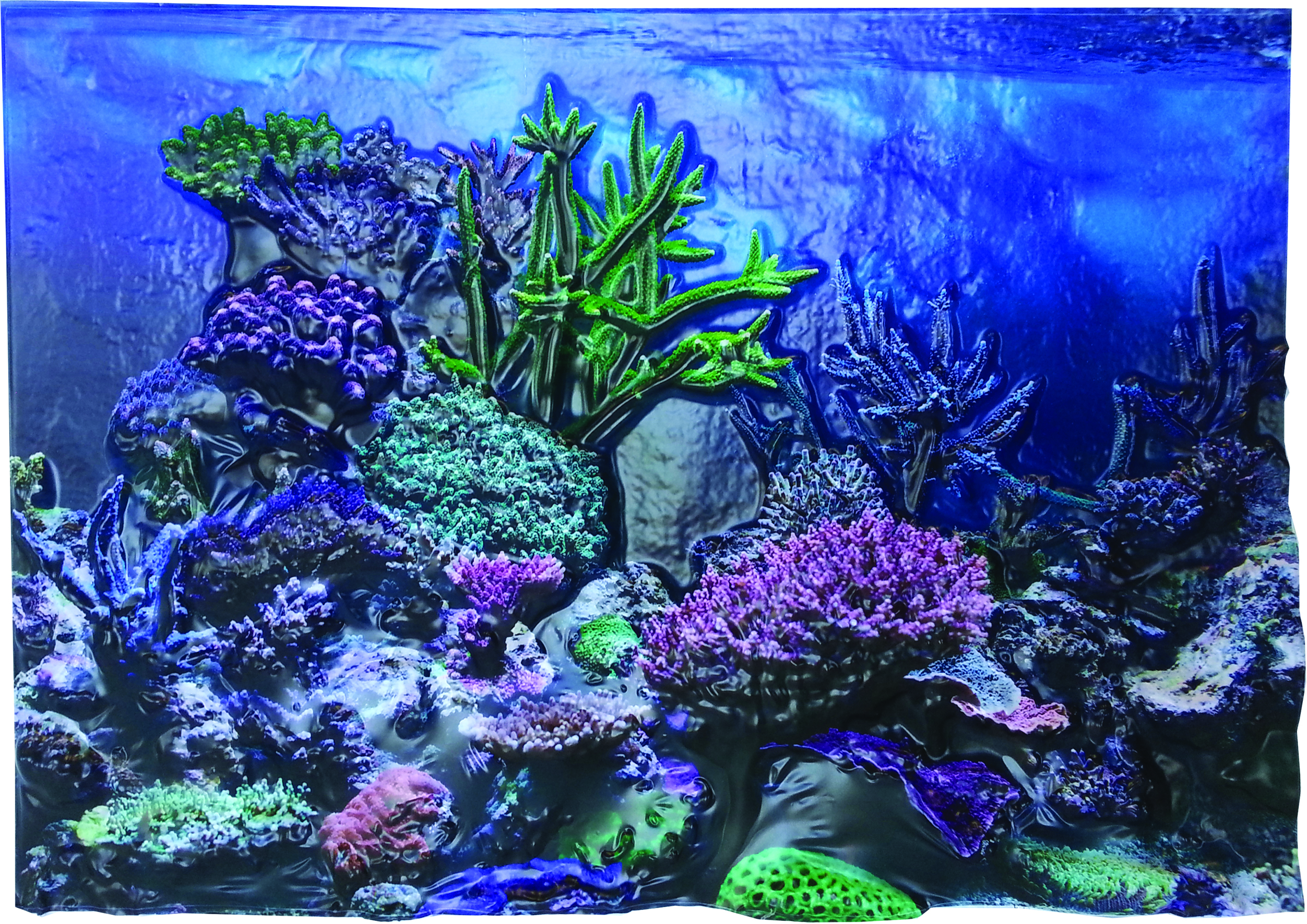 3D AQUARIUM BACKGROUND