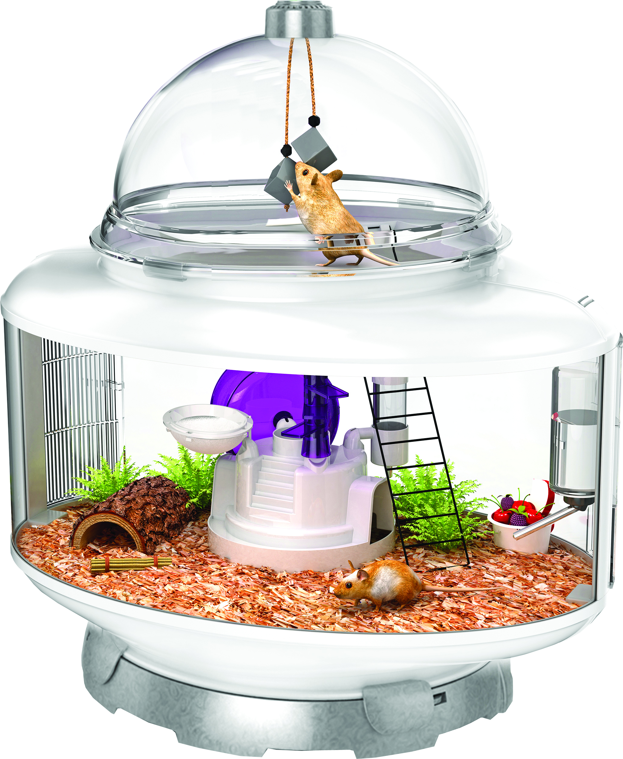 TERRARIUM HABITAT FOR SMALL ANIMALS