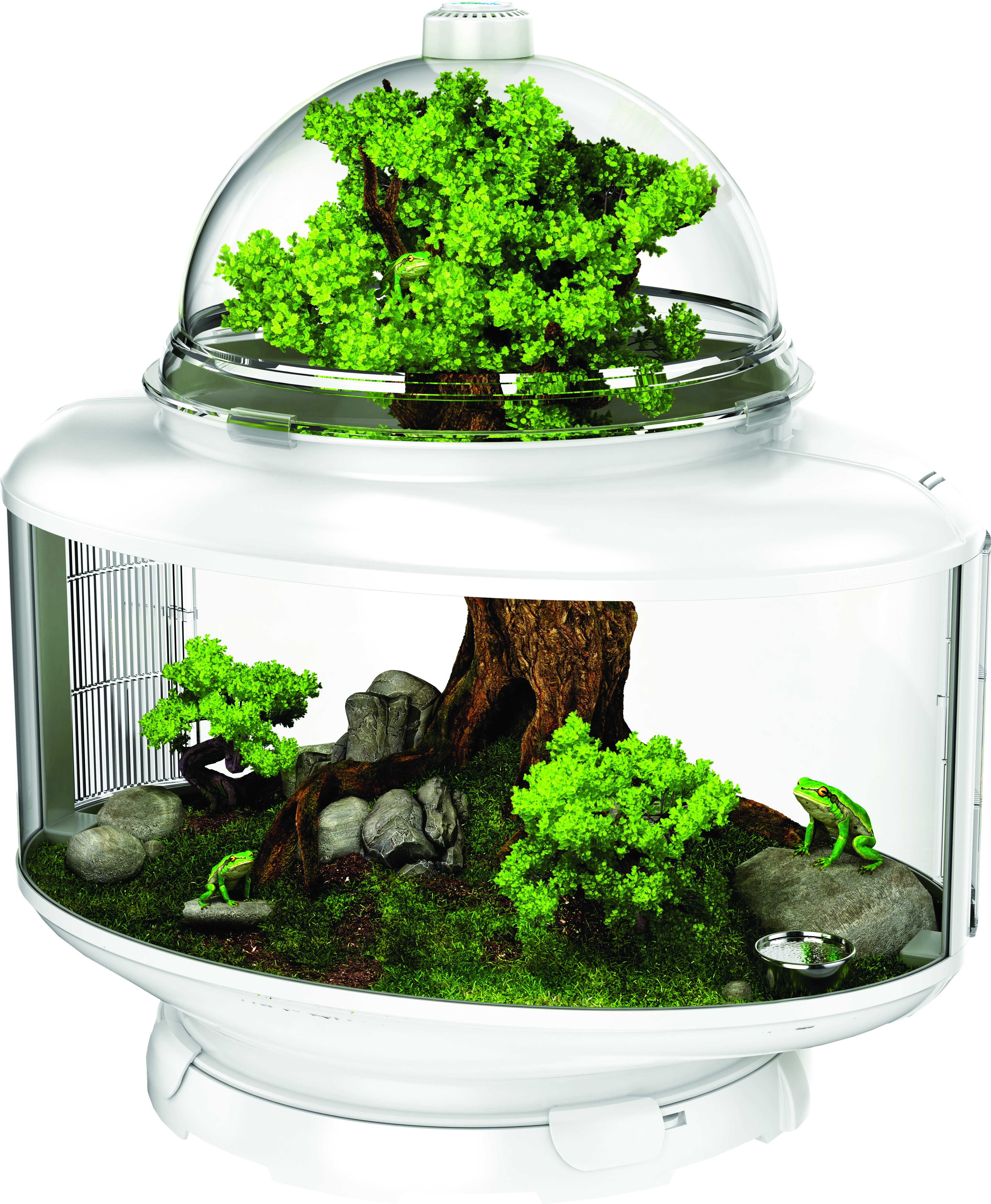 REPTILE TERRARIUM