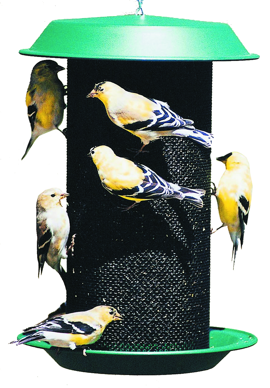 Magnum Thistle Bird Feeder