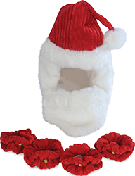 SANTA CLAUSE DOG COSTUME