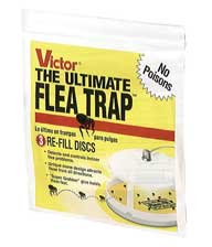 VICTOR FLEA TRAP REFILL