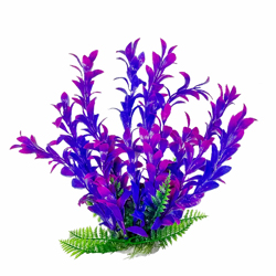 HYGRO-LIKE AQUARIUM PLANT
