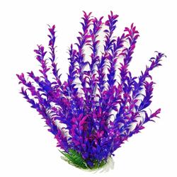 HYGRO-LIKE AQUARIUM PLANT