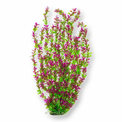 EXTRA TALL AQUARIUM PLANT